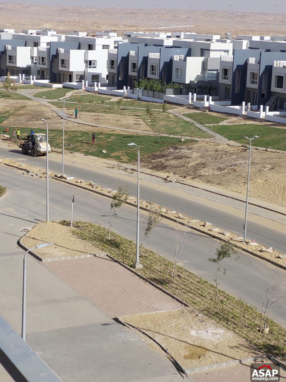 Apartment for Rent in Hyde Park