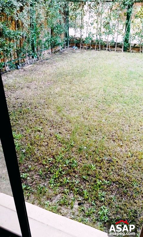 Duplex for Rent in Casa - Sheikh Zayed