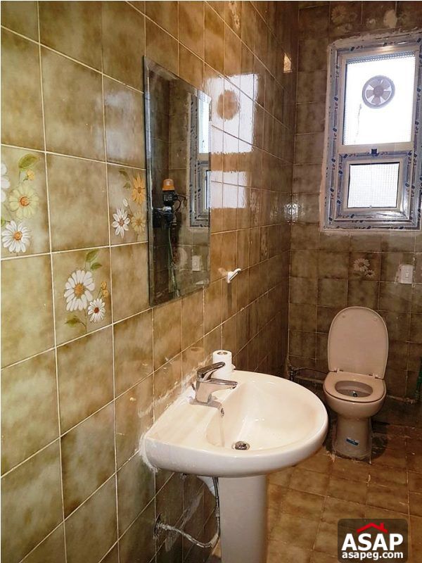 Furnished Apartment for Rent in Zamalek Furnished Apartment for Rent in Zamalek