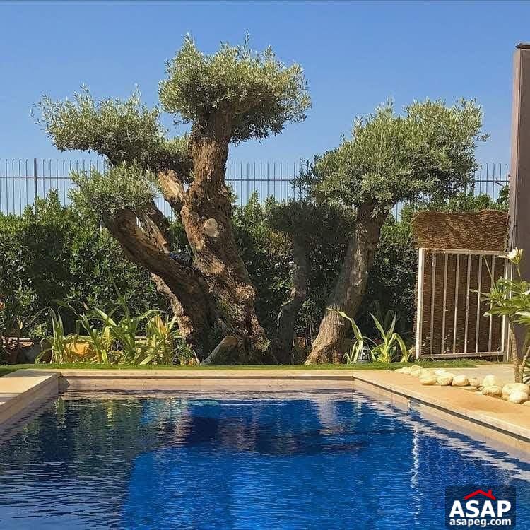 Town House for Sale in Allegria Compound Town House for Sale in Allegria Compound