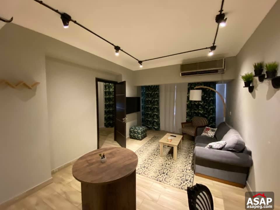 Apartment for Rent in Zamalek Apartment for Rent in Zamalek