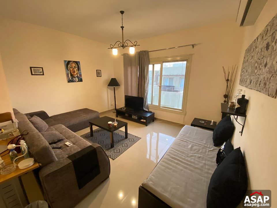 Studio for Rent in The Village Palm Hills Studio for Rent in The Village Palm Hills