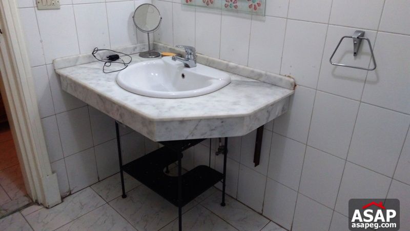 Furnished Apartment with Terrace in Zamalek for Rent Furnished Apartment with Terrace in Zamalek for Rent