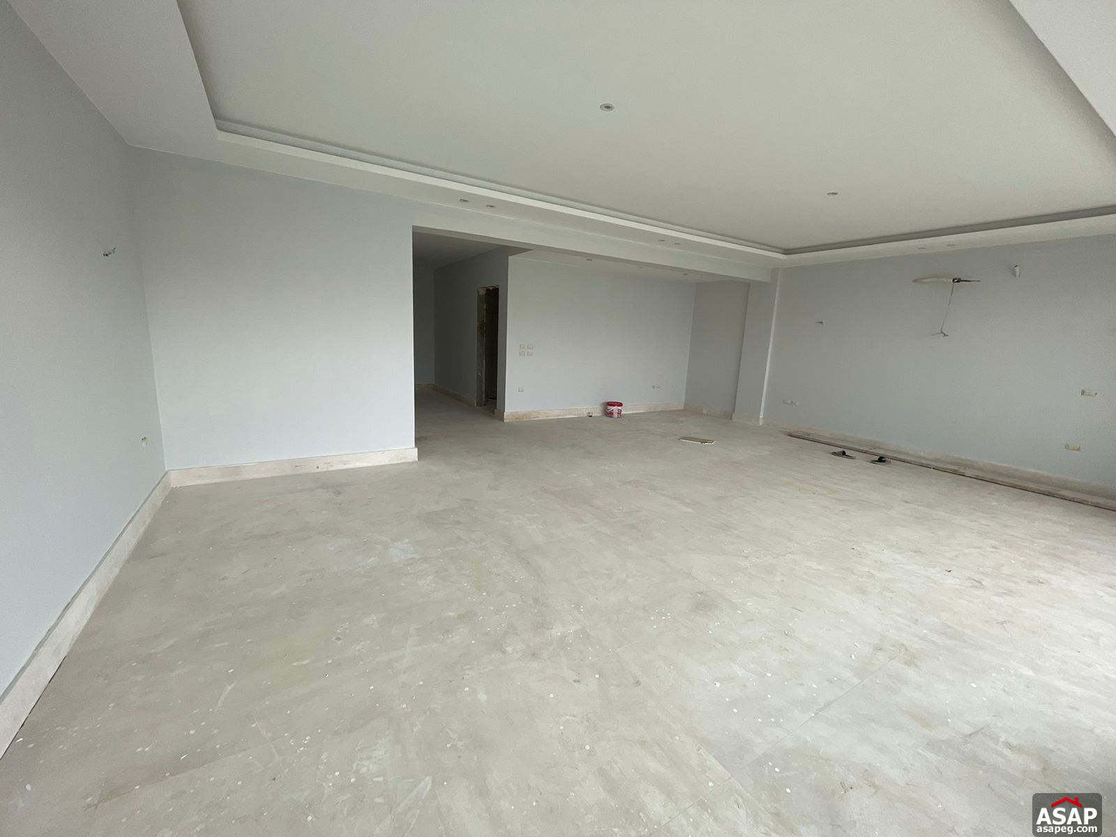 Penthouse with Swimming Pool for Rent in Lake View Residence Penthouse with Swimming Pool for Rent in Lake View Residence