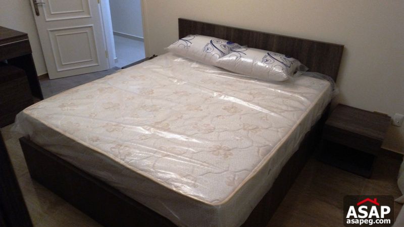 Ultra Modern Furnished Apartment in Zamalek Ultra Modern Furnished Apartment in Zamalek