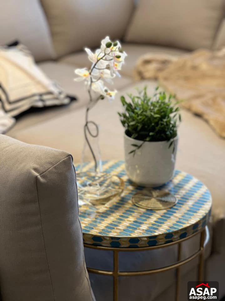 Twin House with Private Pool for Rent in Uptown Cairo Twin House with Private Pool for Rent in Uptown Cairo