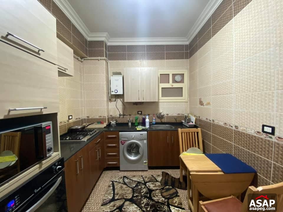 Apartment for Rent in Zamalek Apartment for Rent in Zamalek