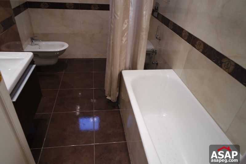 Apartment for Rent in Zamalek Apartment for Rent in Zamalek