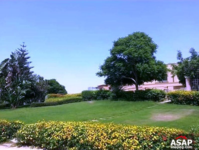 Villa with Pool for Rent in Paradise Compound Villa with Pool for Rent in Paradise Compound