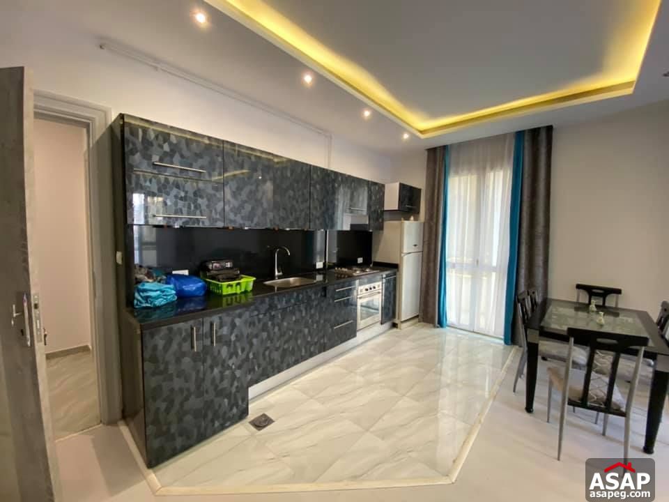 Apartment for Rent in Zamalek Apartment for Rent in Zamalek