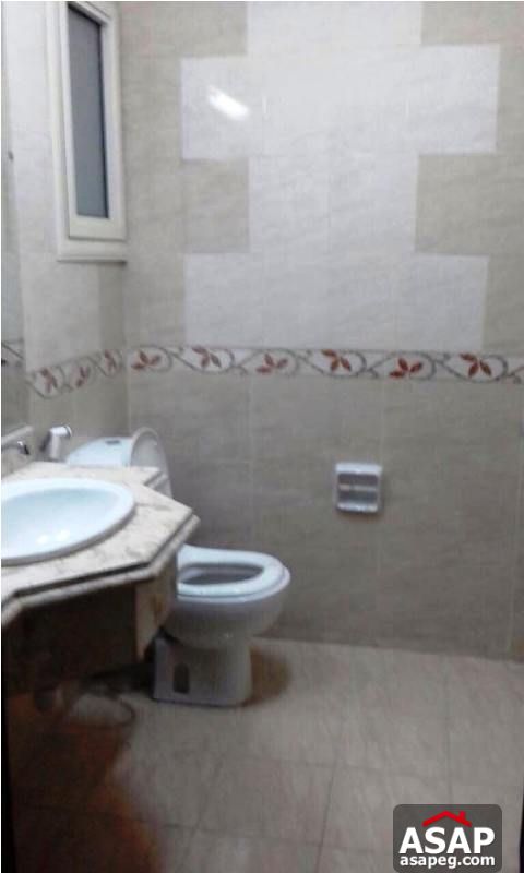Apartment for Rent in Dokki Apartment for Rent in Dokki