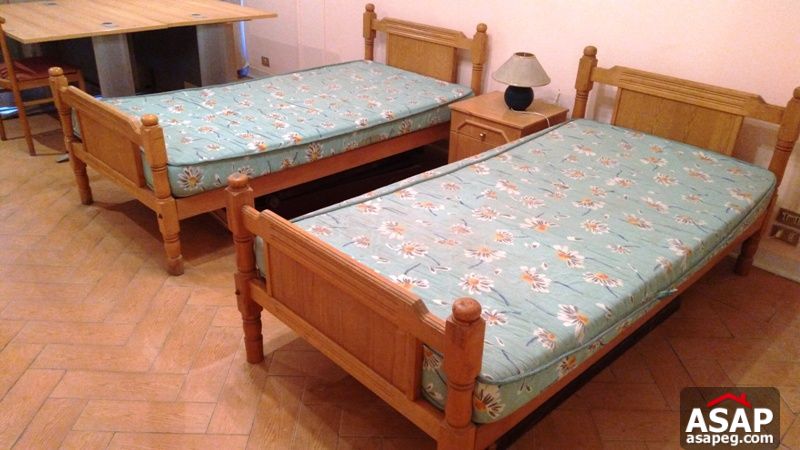 Furnished Apartment for Rent in Zamalek Furnished Apartment for Rent in Zamalek