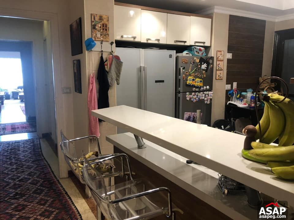 Apartment for Rent in Zamalek Apartment for Rent in Zamalek