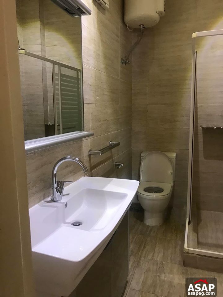 Flat for Rent in Zamalek Flat for Rent in Zamalek