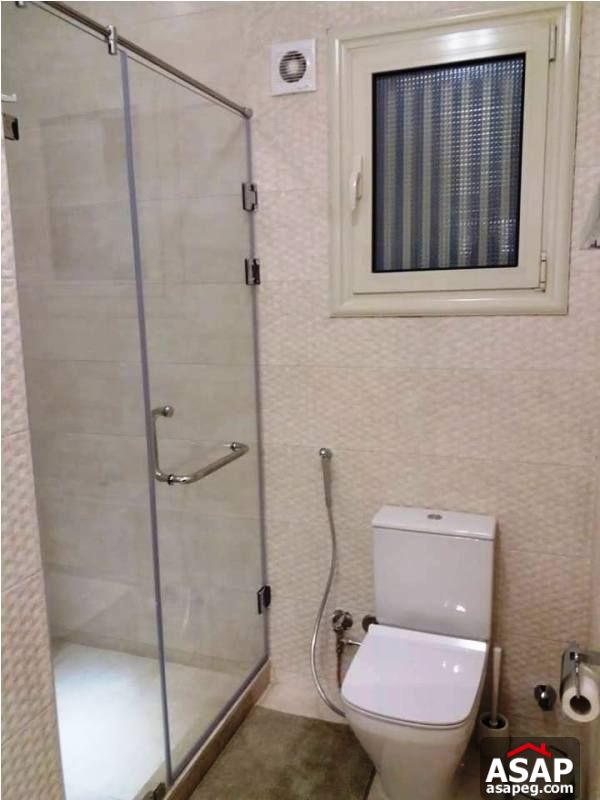 Nice Flat for Rent in Zamalek Nice Flat for Rent in Zamalek