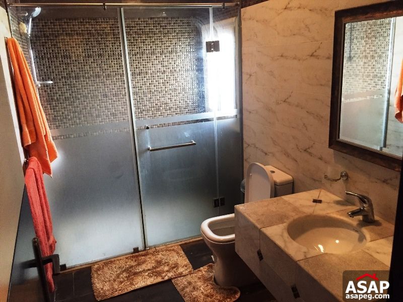 Apartment for rent in zamalek