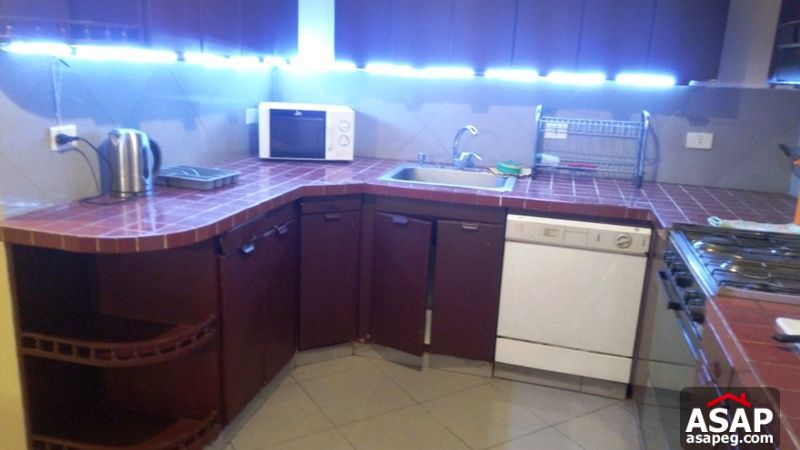 Modern Furnished Apartment for Rent in Mohandiseen Modern Furnished Apartment for Rent in Mohandiseen