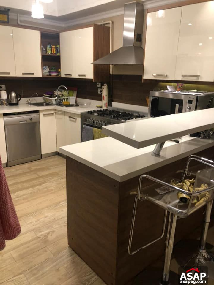 Apartment for Rent in Zamalek Apartment for Rent in Zamalek