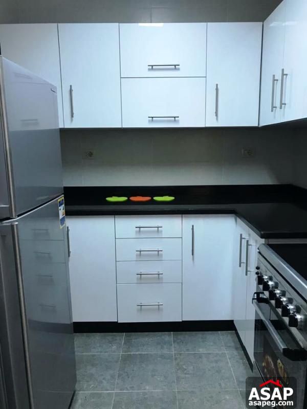 Modern Flat for Rent in Zamalek Modern Flat for Rent in Zamalek