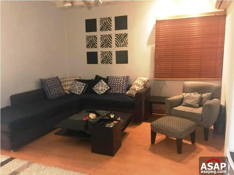 Nice Property in Zamalek for Rent