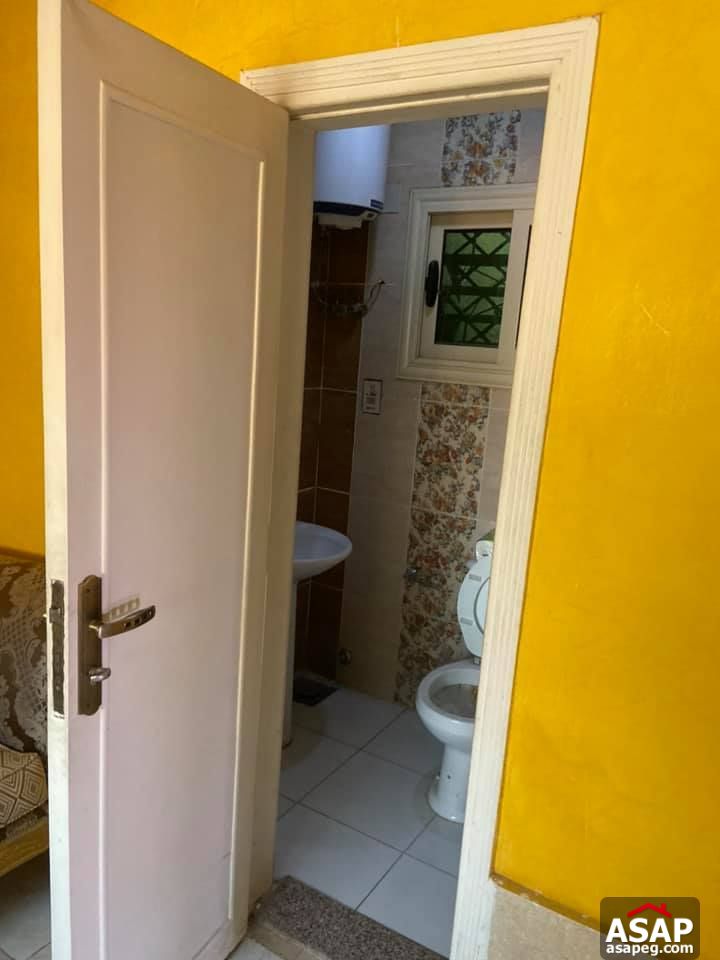 Flat with Nile View for Rent in Zamalek Flat with Nile View for Rent in Zamalek