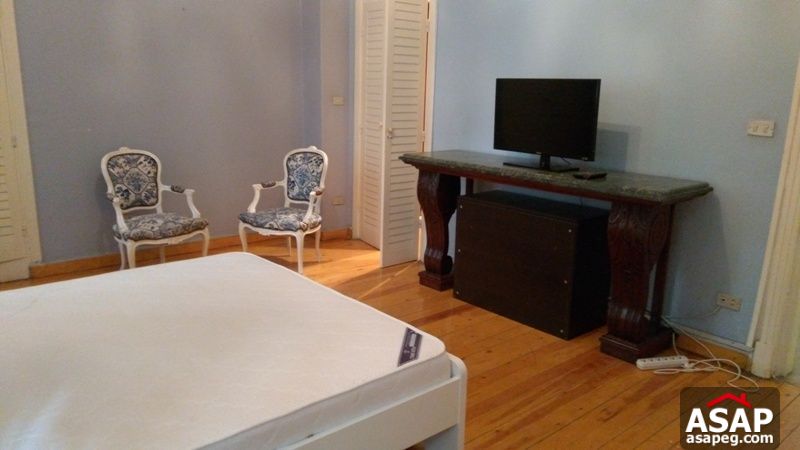 Furnished Apartment with Terrace in Zamalek for Rent Furnished Apartment with Terrace in Zamalek for Rent