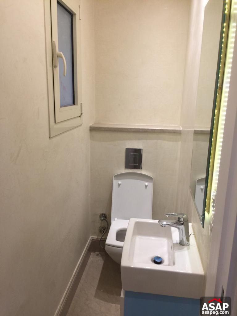 Apartment for Rent in Zamalek Apartment for Rent in Zamalek