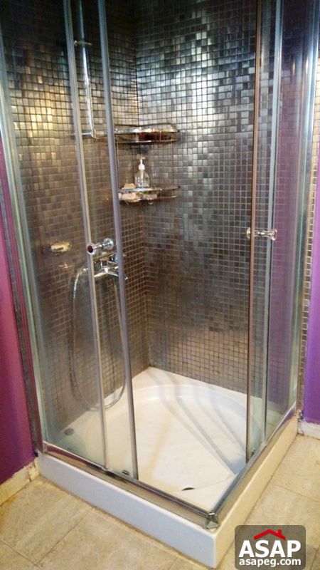 Nice Furnished Studio in Agouza Nice Furnished Studio in Agouza