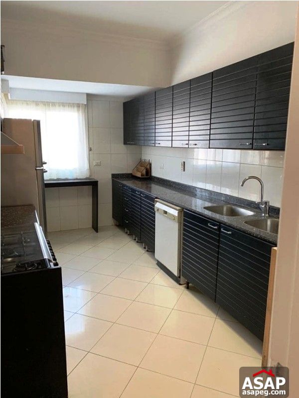 Apartment with Nile View in Zamalek for Rent