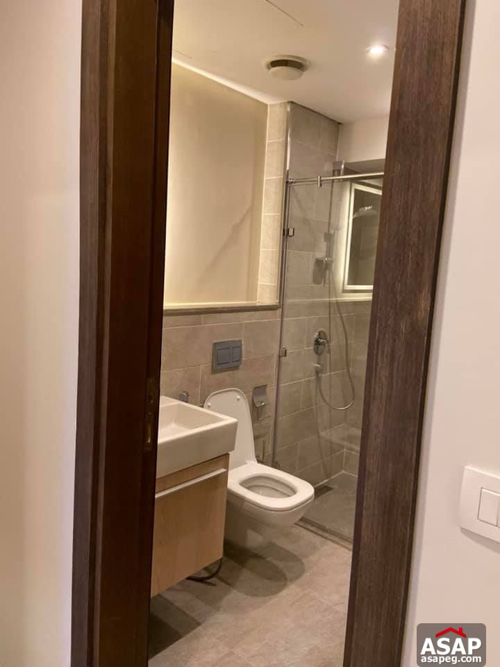 Apartment for Rent in Zamalek Apartment for Rent in Zamalek