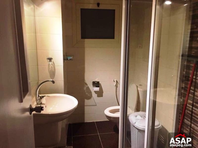 apartment for rent in zamalek apartment for rent in zamalek