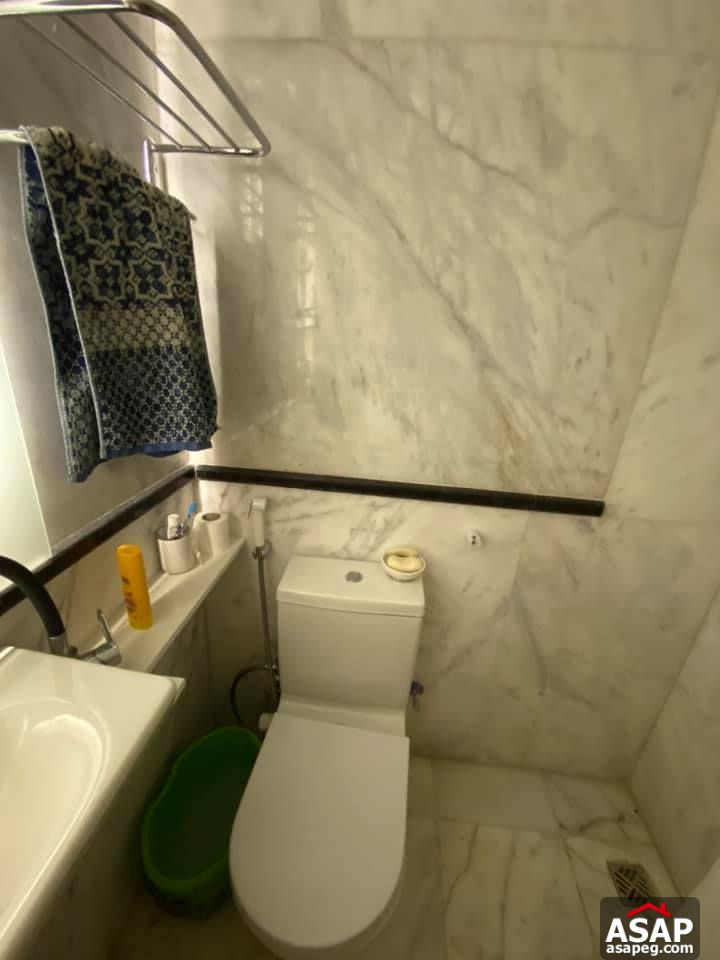 Apartment for Rent in Zamalek Apartment for Rent in Zamalek