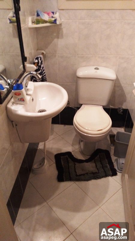 Apartment for rent in dokki Apartment for rent in dokki