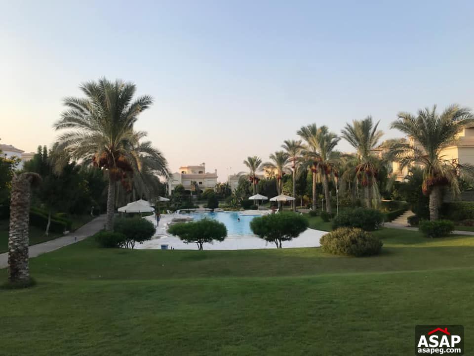 Villa for Rent in EL Patio 1 Compound