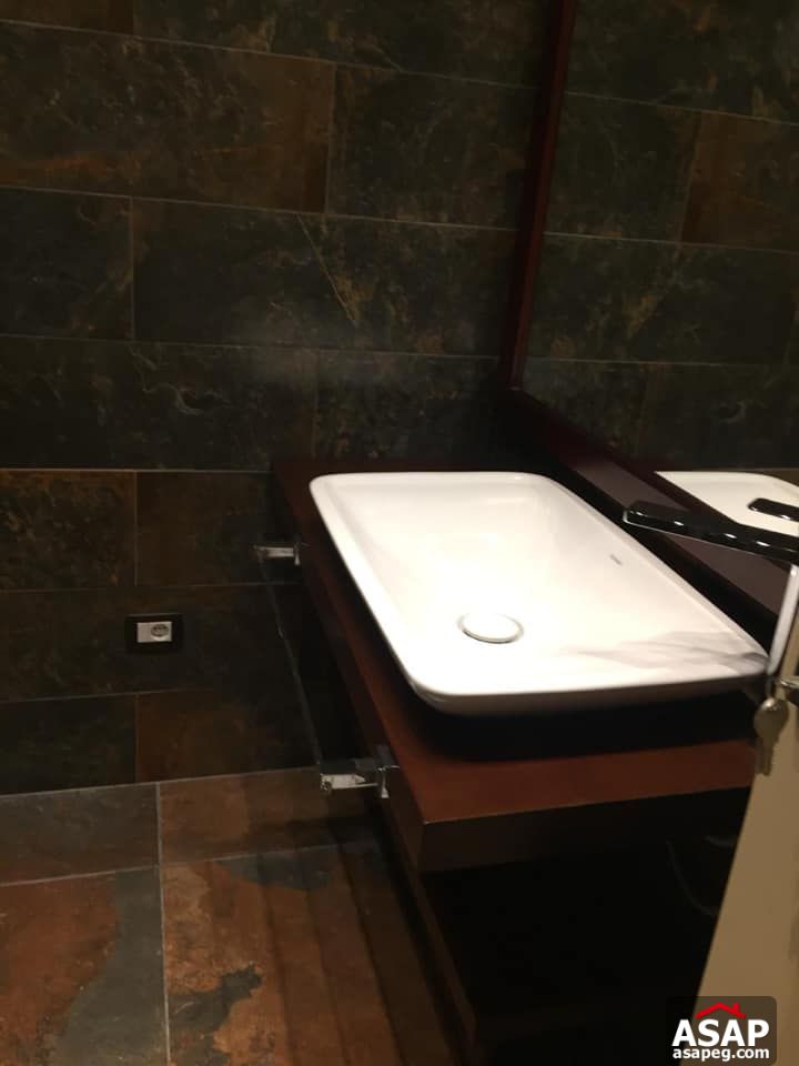 Apartment for Rent in Zamalek Apartment for Rent in Zamalek