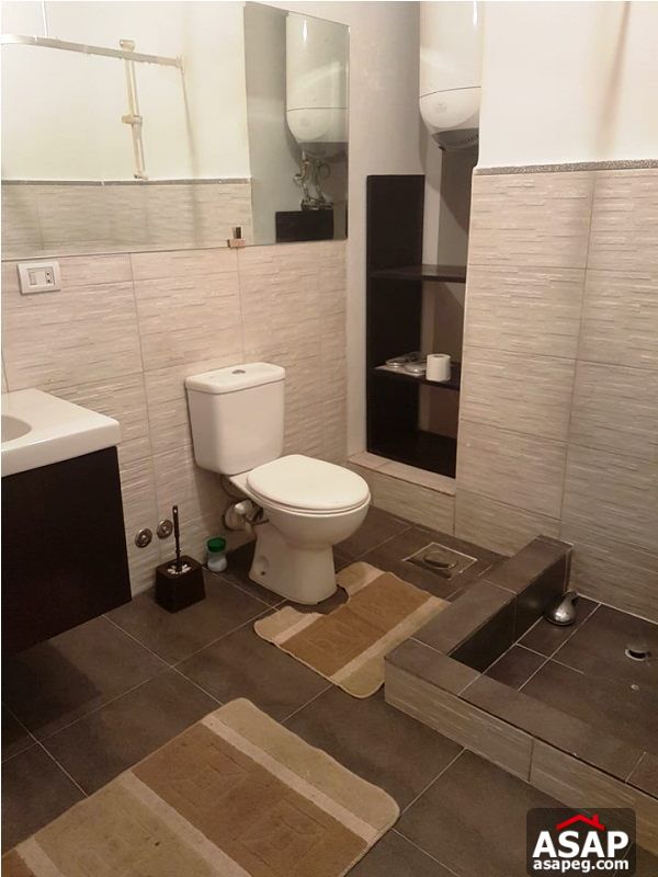 Apartment with Nile View for Rent in Zamalek