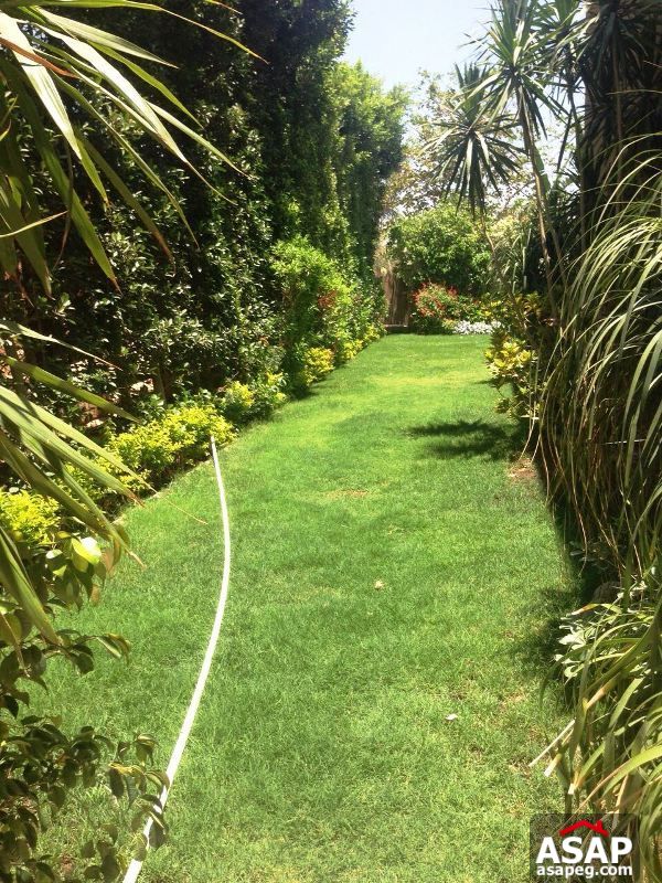 Fully Furnished Twin House for Rent in New Cairo Fully Furnished Twin House for Rent in New Cairo