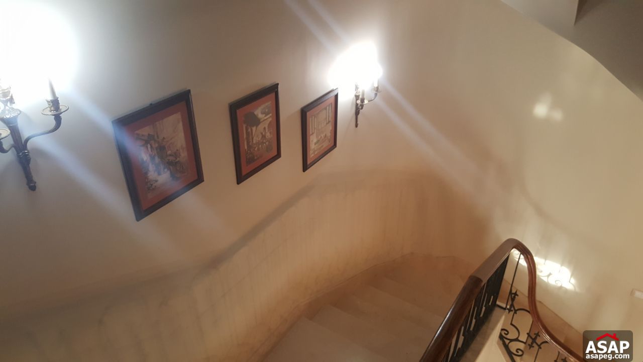 Villa for Rent in Meadows Park