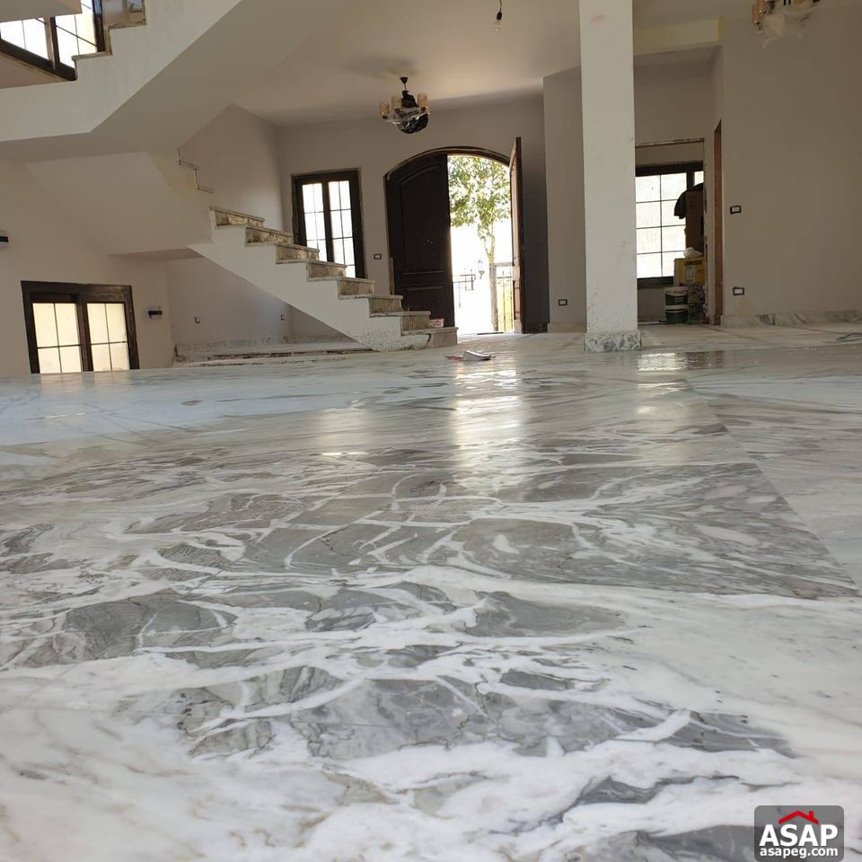 Stand Alone for Rent in Hyde Park