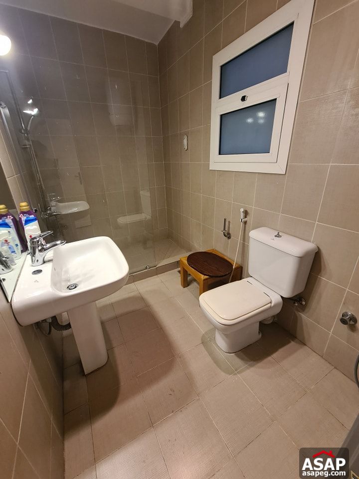 Duplex for Rent in Zamalek Duplex for Rent in Zamalek