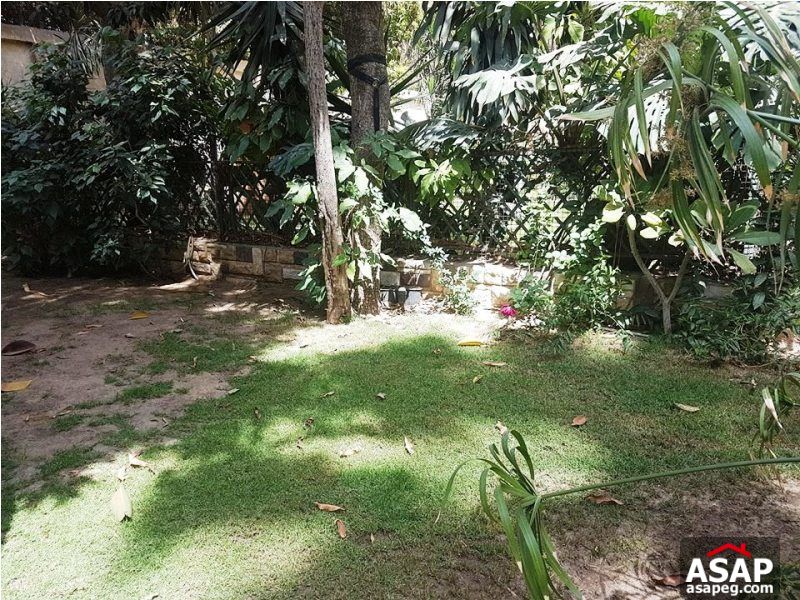 Furnished Villa for Rent in Zamalek Furnished Villa for Rent in Zamalek