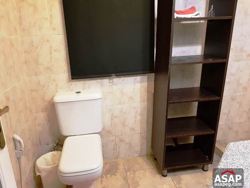 Apartment for Rent in Maadi Degla