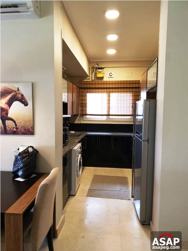 Studio for Rent in the Village Palm Hills Studio for Rent in the Village Palm Hills