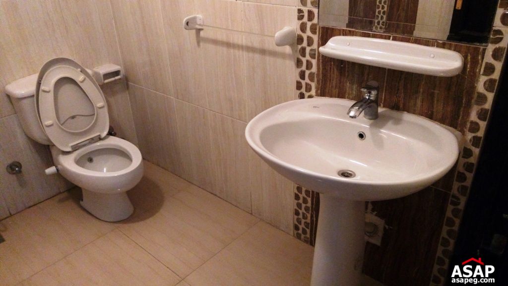 Furnished Apartment with Big Kitchen for Rent in Zamalek