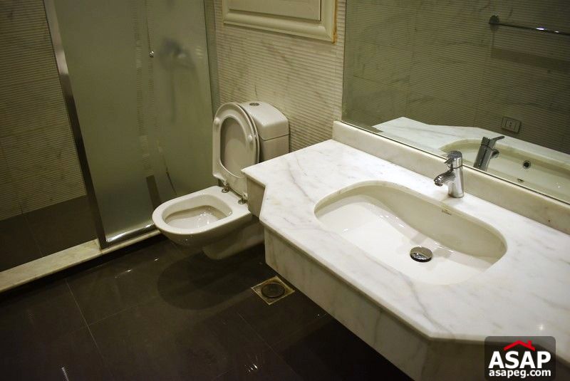 Furnished Apartment in Zamalek for Rent Furnished Apartment in Zamalek for Rent