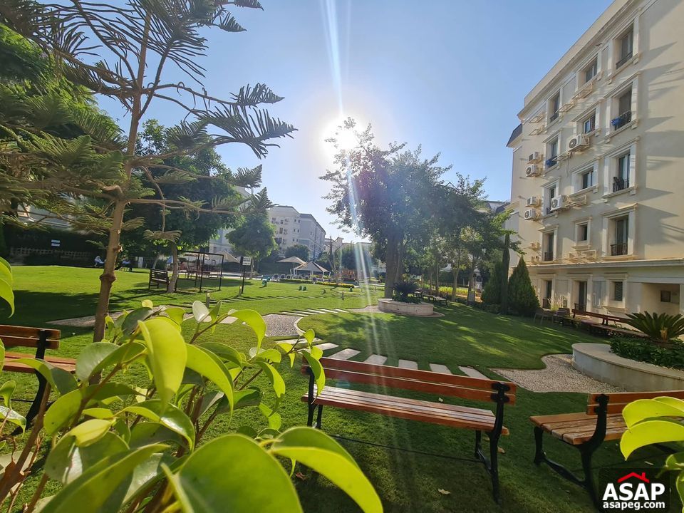 I Villa Garden for Rent in Mountain View I Villa Garden for Rent in Mountain View