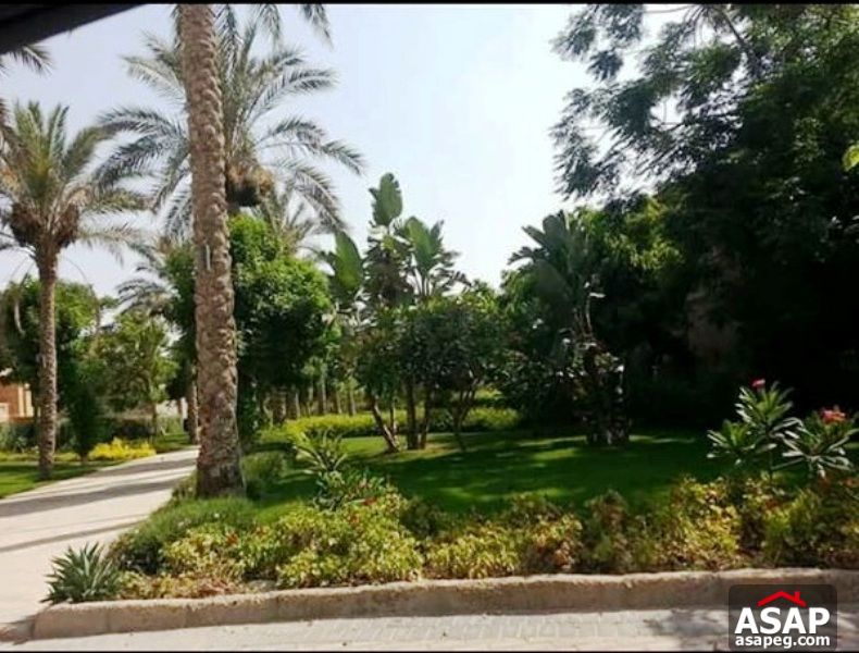 Villa with Pool for Rent in Paradise Compound Villa with Pool for Rent in Paradise Compound