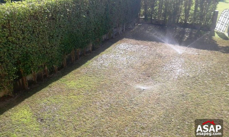 Twin House for Rent in Rabwa - Sheikh Zayed Twin House for Rent in Rabwa - Sheikh Zayed