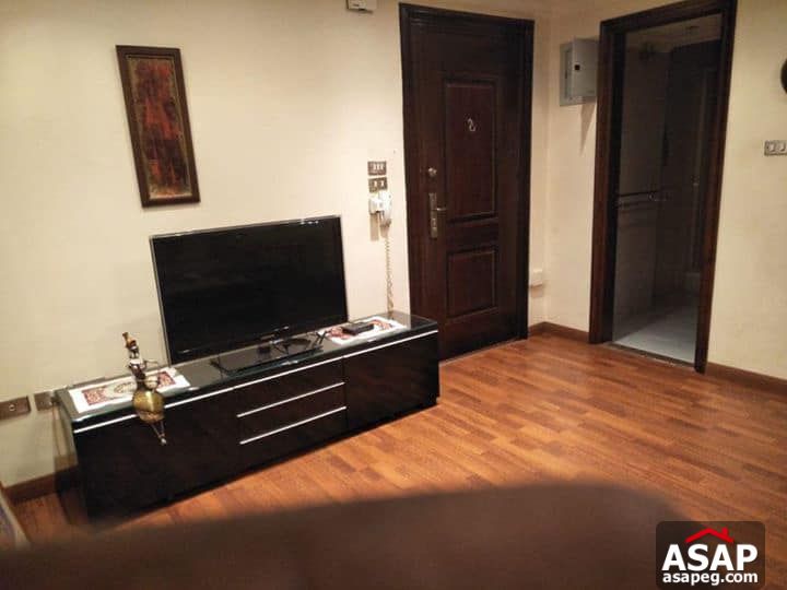 Apartment for Rent in Zamalek - Cairo