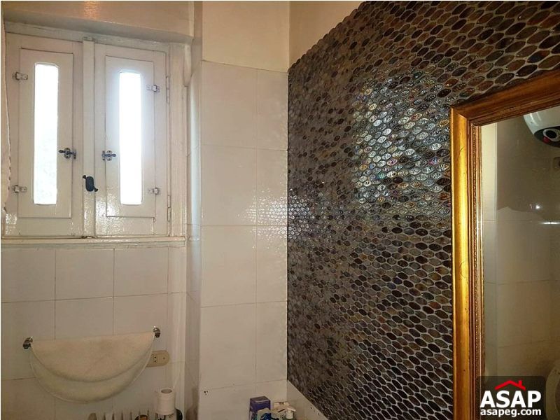 Apartment with Terrace for Rent in Zamalek Apartment with Terrace for Rent in Zamalek